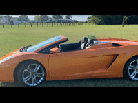 Image 4 of 10 of a 2008 LAMBORGHINI GALLARDO SPYDER