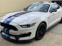 Image 1 of 11 of a 2016 FORD MUSTANG SHELBY GT350