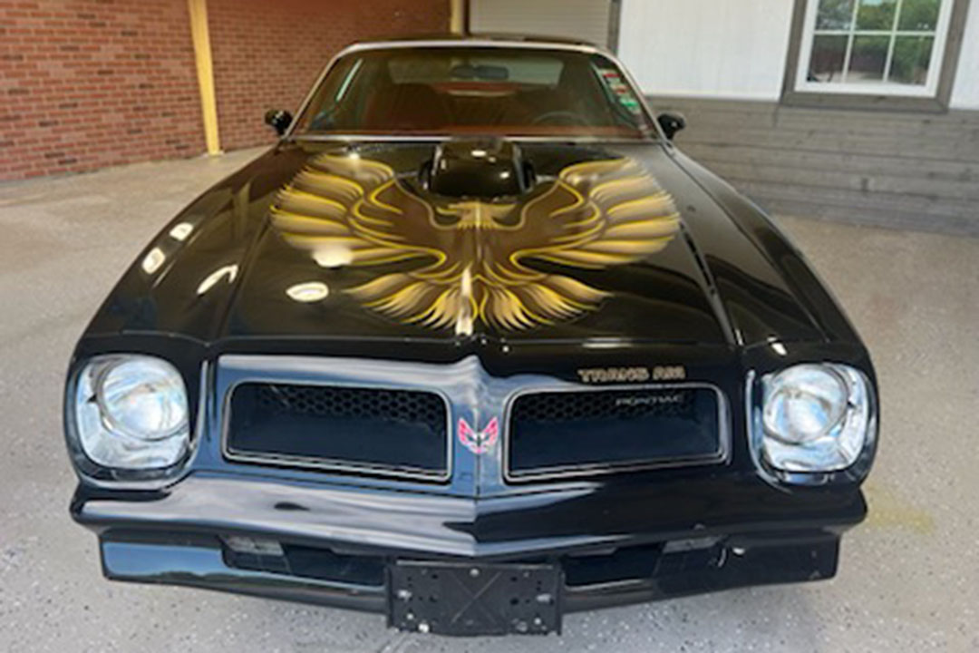 3rd Image of a 1976 PONTIAC FIREBIRD