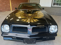 Image 4 of 11 of a 1976 PONTIAC FIREBIRD