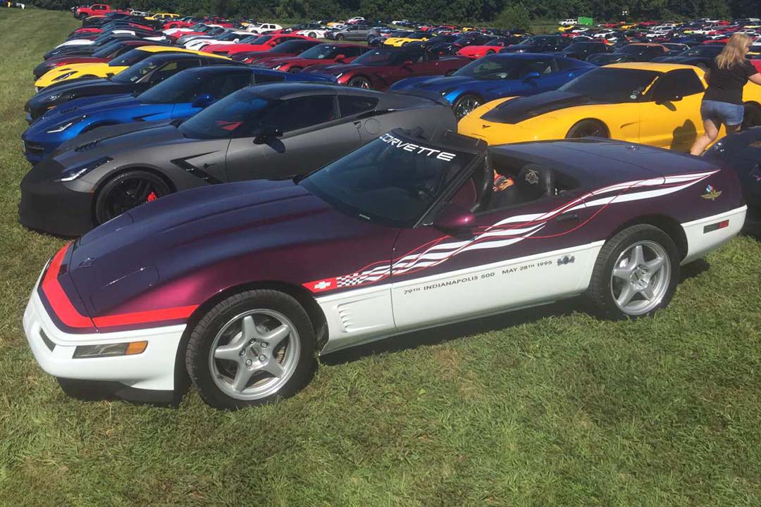 2nd Image of a 1995 CHEVROLET CORVETTE PACE CAR