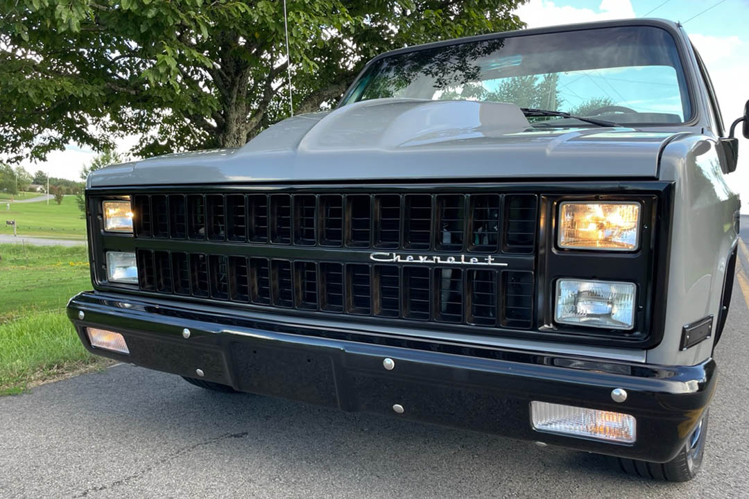 6th Image of a 1981 CHEVROLET C10
