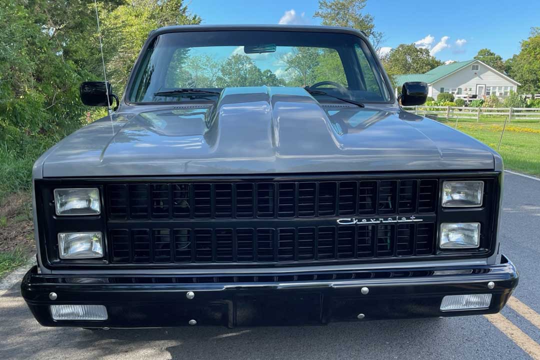 8th Image of a 1981 CHEVROLET C10