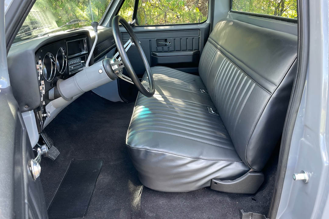 12th Image of a 1981 CHEVROLET C10