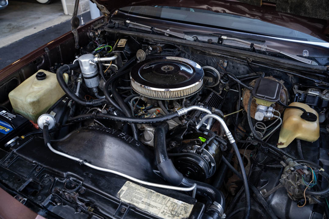 16th Image of a 1983 CHEVROLET EL CAMINO