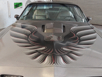 Image 8 of 25 of a 1979 PONTIAC TRANS AM