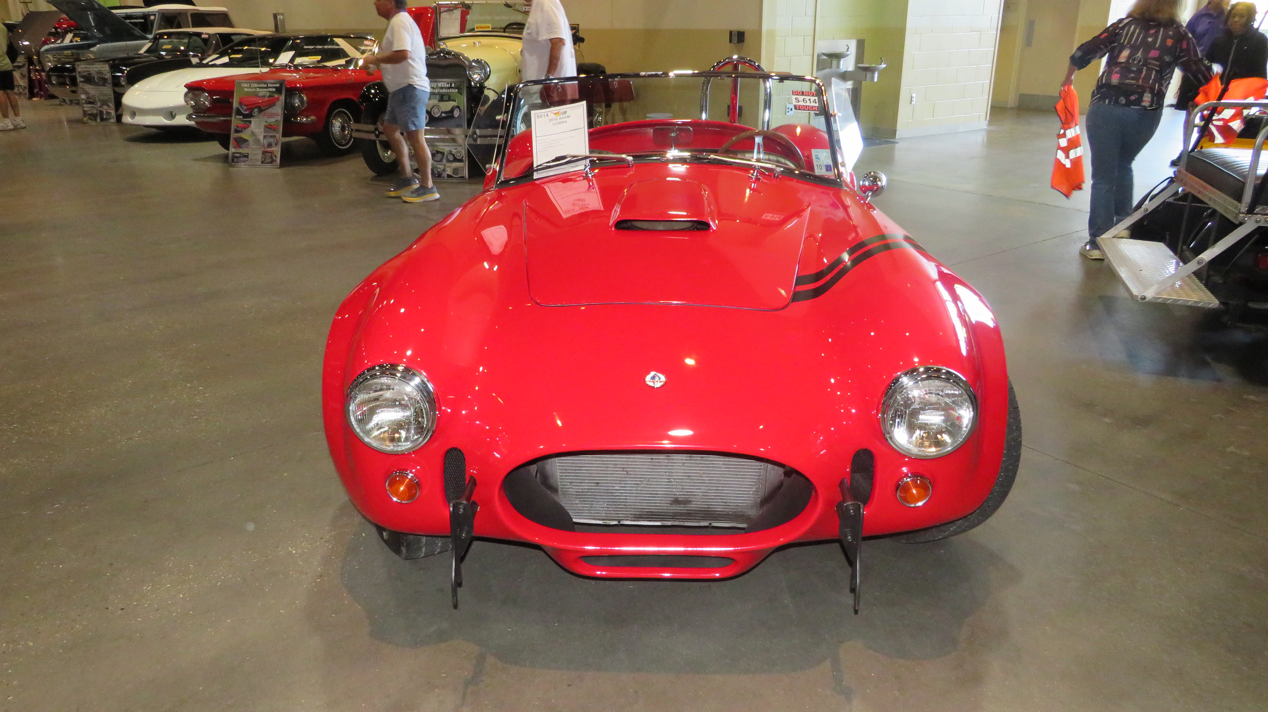 0th Image of a 2015 ASSM COBRA