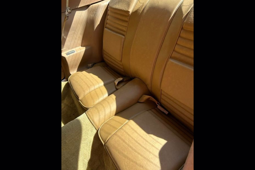 5th Image of a 1980 PONTIAC TRANS AM