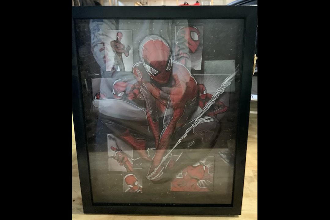 0th Image of a N/A SPIDERMAN PICTURE