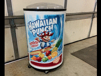 Image 1 of 1 of a N/A HAWAIIAN PUNCH ICE COOLER