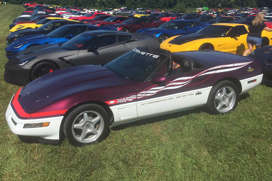 4th Image of a 1995 CHEVROLET CORVETTE PACE CAR