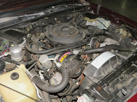 Image 14 of 14 of a 1981 OLDSMOBILE CUTLASS CRUISER BROUGHAM