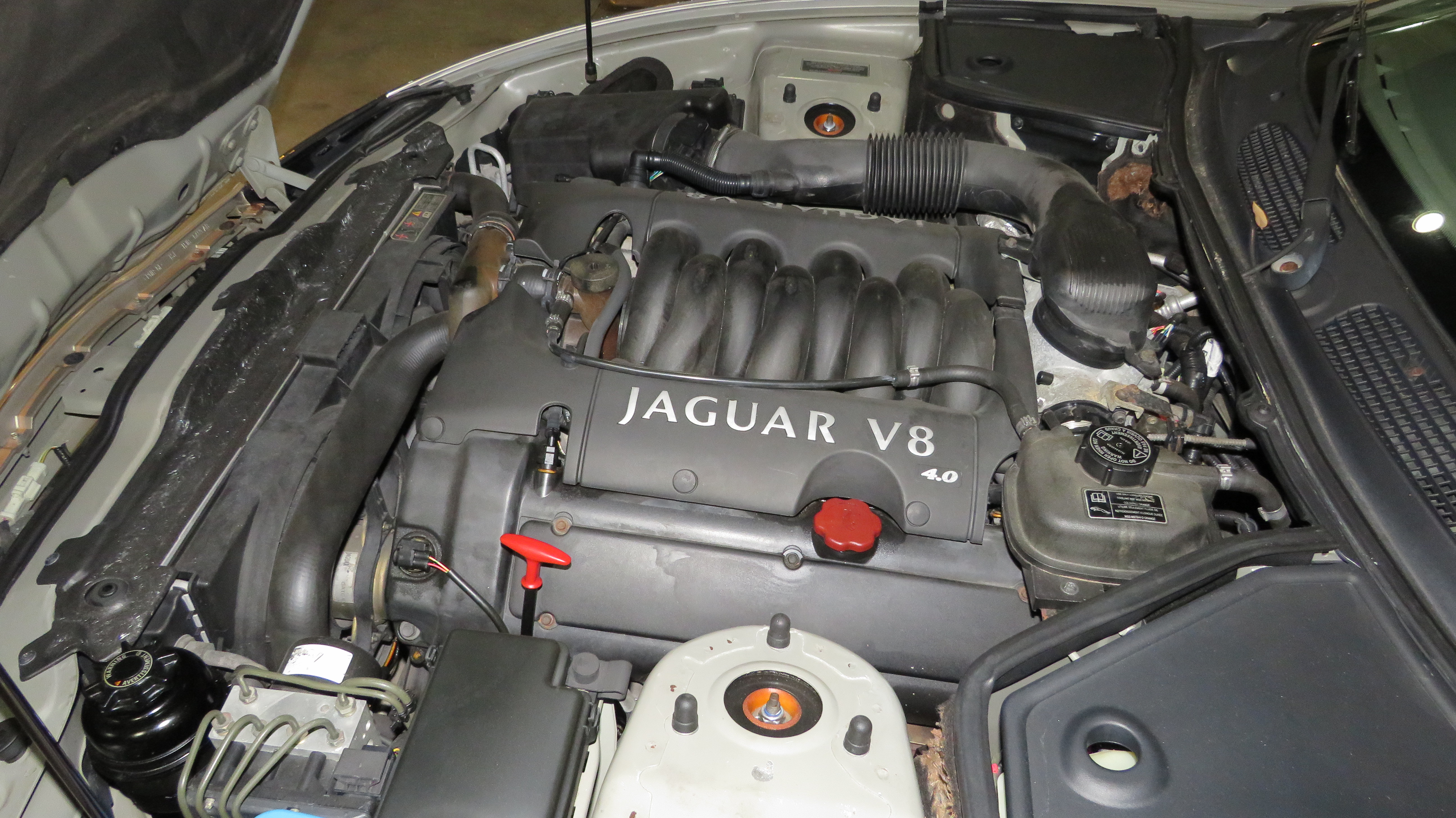 14th Image of a 2000 JAGUAR XK8