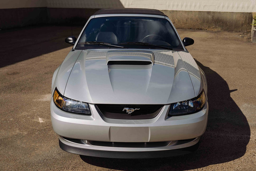 10th Image of a 2004 FORD MUSTANG