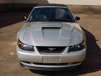 Image 11 of 36 of a 2004 FORD MUSTANG