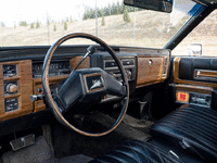 Image 9 of 17 of a 1983 CADILLAC FLEETWOOD LIMOUSINE FORMAL