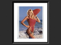 Image 1 of 1 of a N/A BAYWATCH DONNA D'ERRICO SIGNED PHOTO
