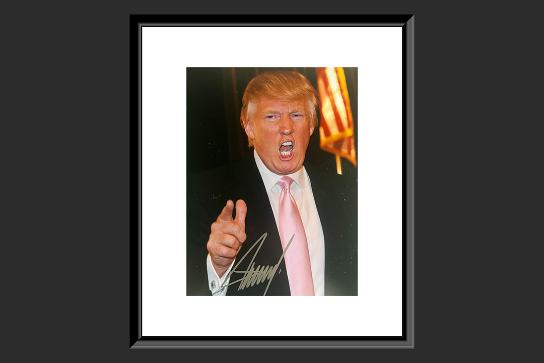 0th Image of a N/A DONALD TRUMP SIGNED PHOTO