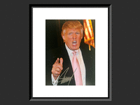 Image 1 of 1 of a N/A DONALD TRUMP SIGNED PHOTO
