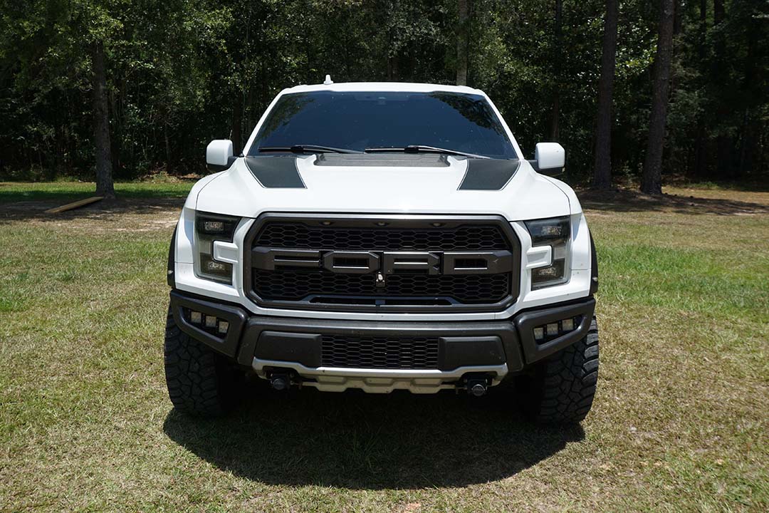 5th Image of a 2019 FORD F-150 RAPTOR