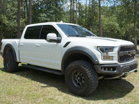 Image 2 of 13 of a 2019 FORD F-150 RAPTOR