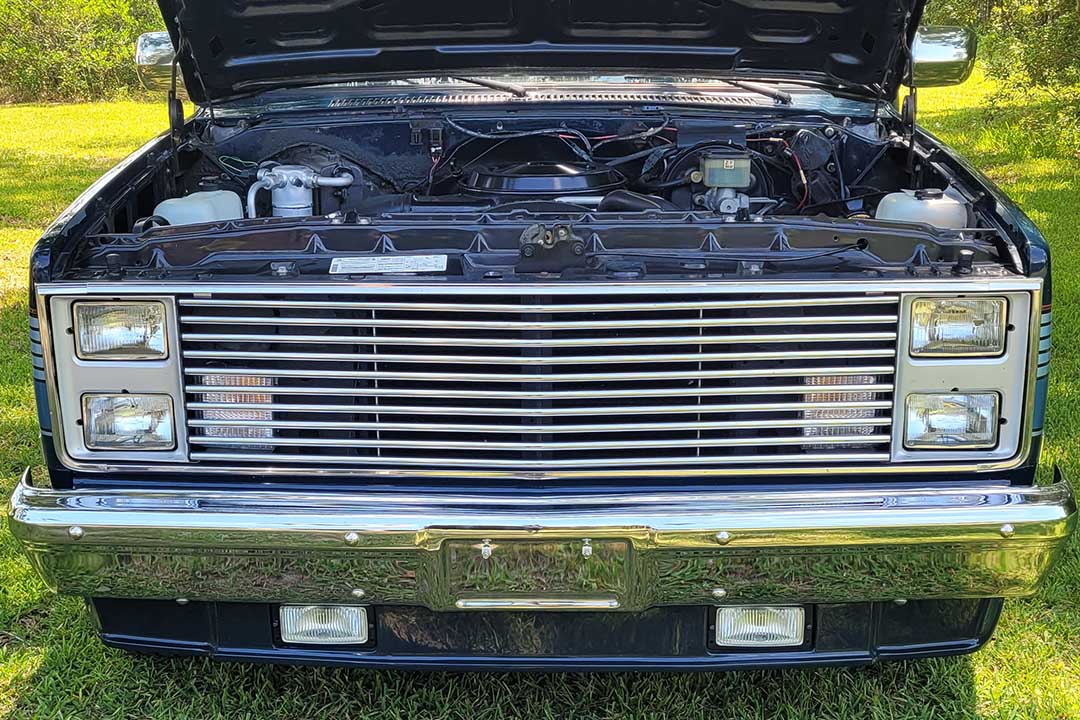 12th Image of a 1987 CHEVROLET C10