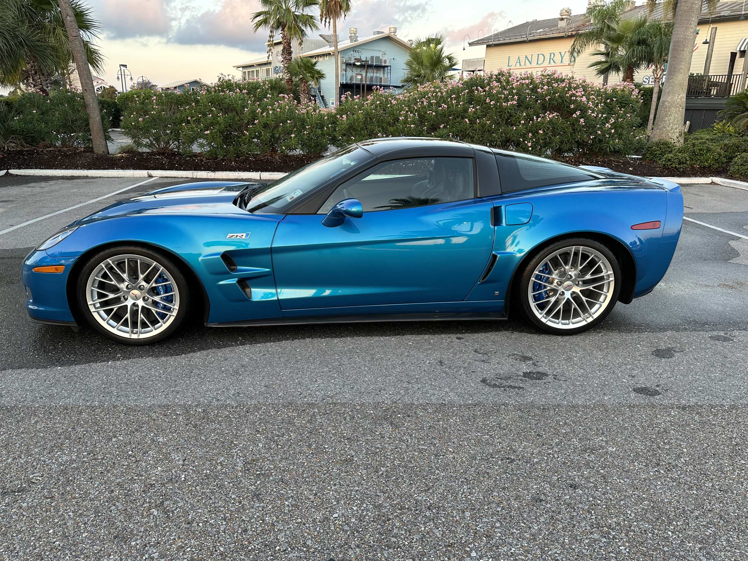 28th Image of a 2009 CHEVROLET CORVETTE ZR1