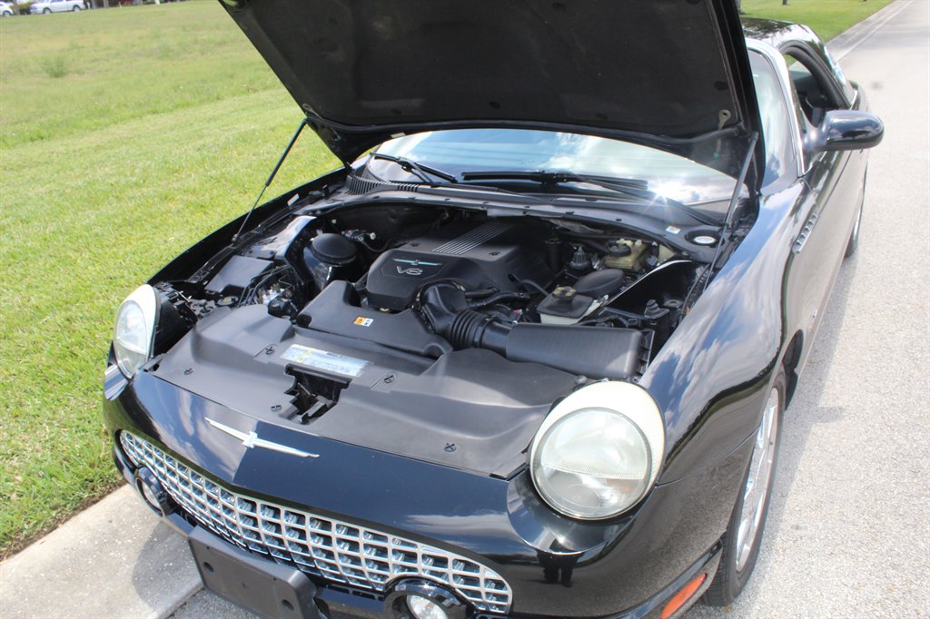 18th Image of a 2003 FORD THUNDERBIRD