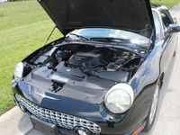 Image 19 of 20 of a 2003 FORD THUNDERBIRD