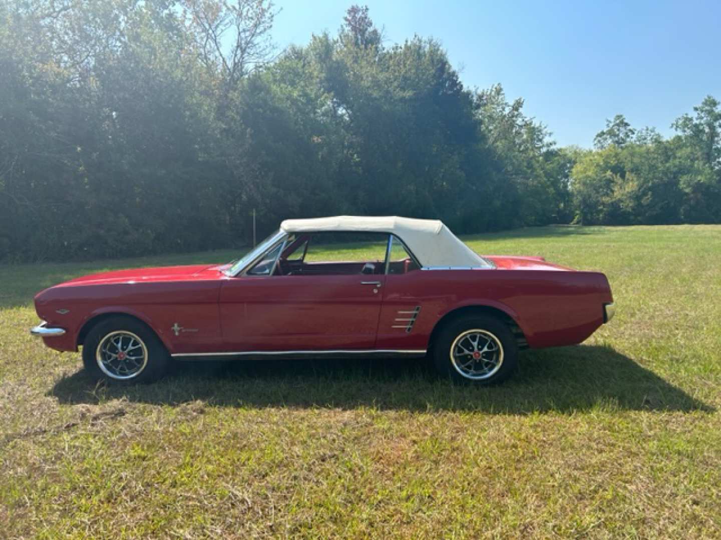 2nd Image of a 1966 FORD MUSTANG