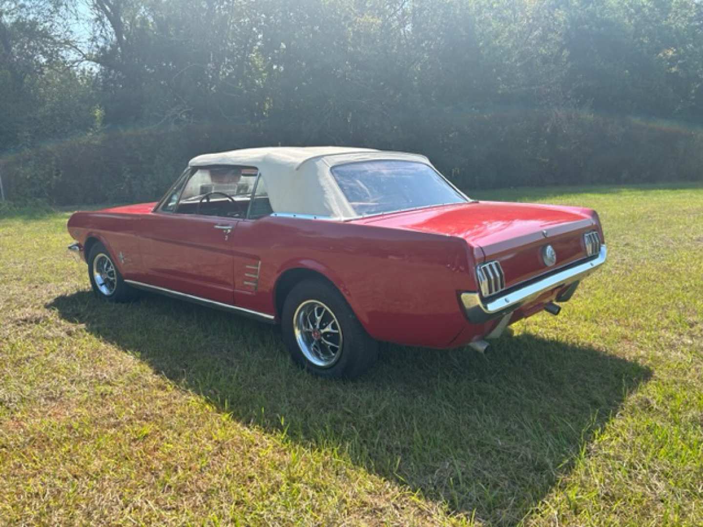 3rd Image of a 1966 FORD MUSTANG