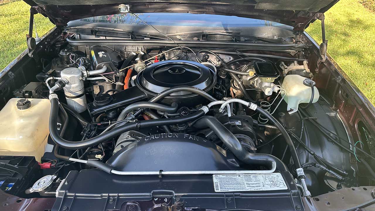 8th Image of a 1987 CHEVROLET EL CAMINO