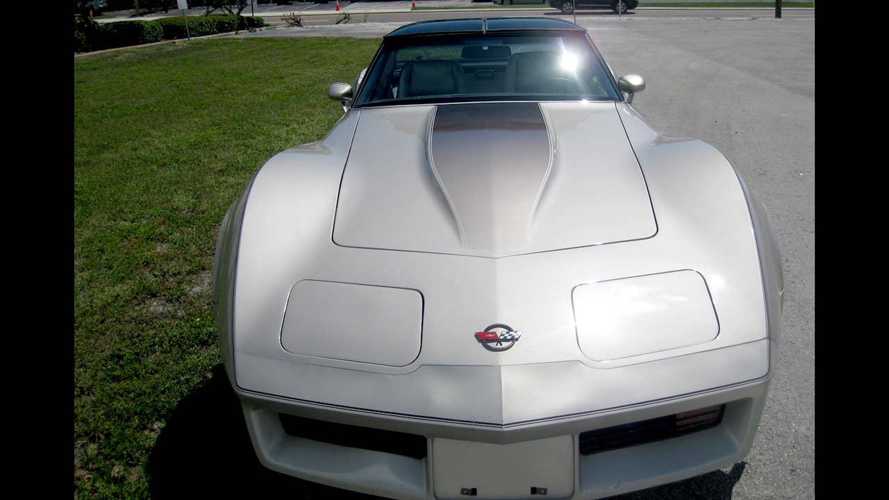 6th Image of a 1982 CHEVROLET CORVETTE