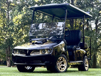 Image 1 of 7 of a 2018 EZGO RXV
