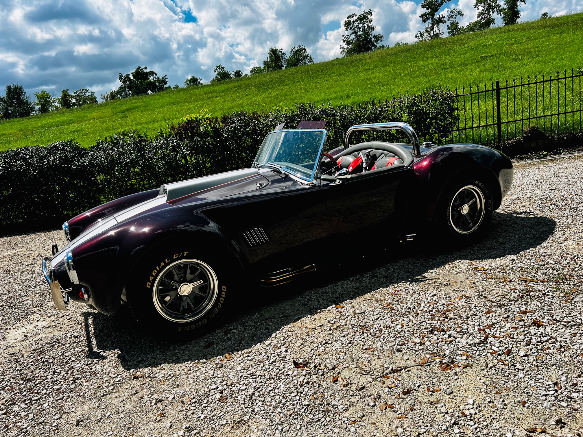 7th Image of a 1965 ASSM SHELBY COBRA