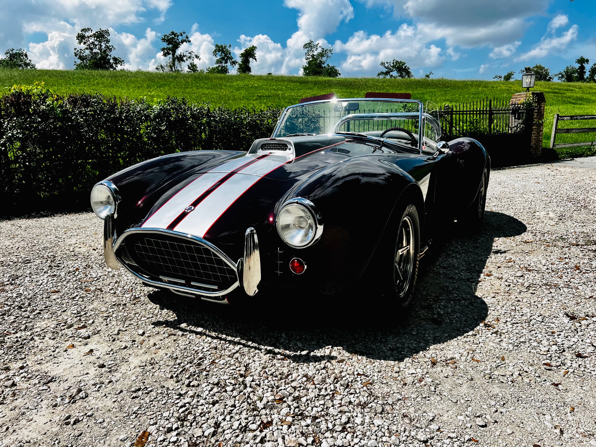 8th Image of a 1965 ASSM SHELBY COBRA