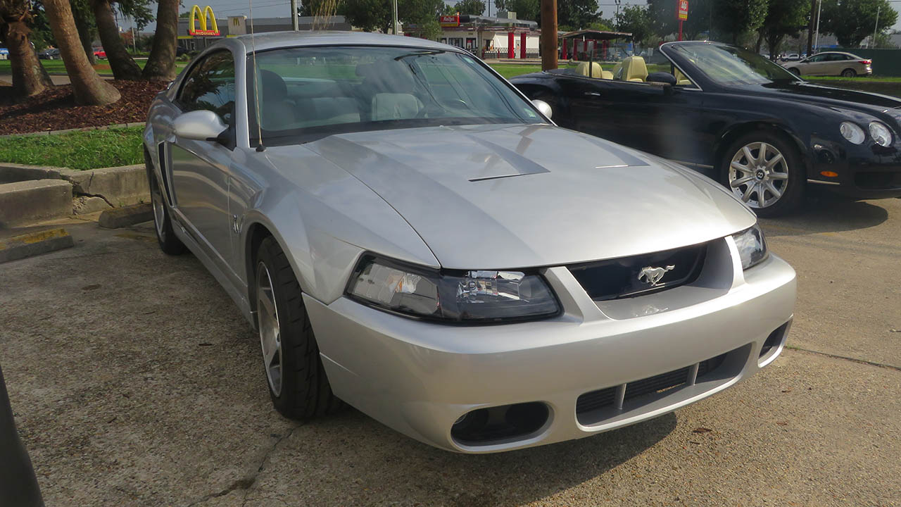 1st Image of a 2003 FORD MUSTANG COBRA