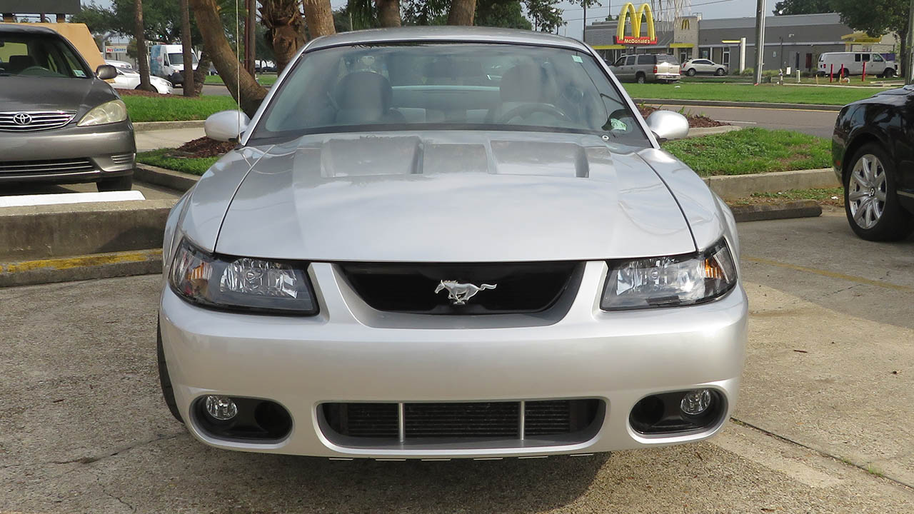 4th Image of a 2003 FORD MUSTANG COBRA