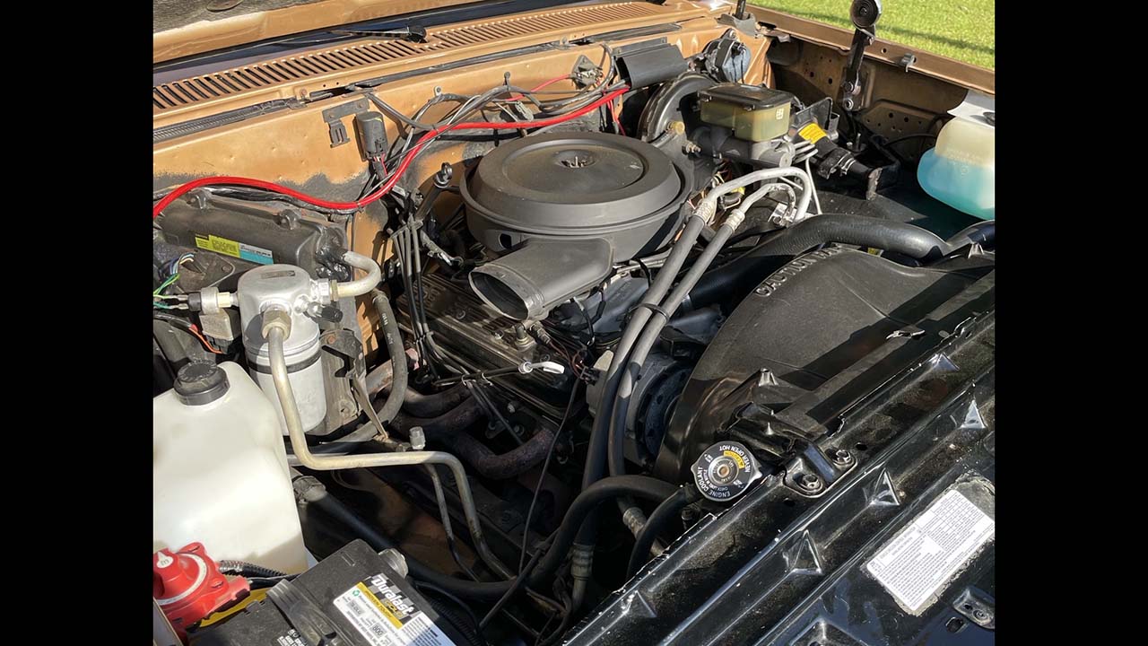 6th Image of a 1987 CHEVROLET R10