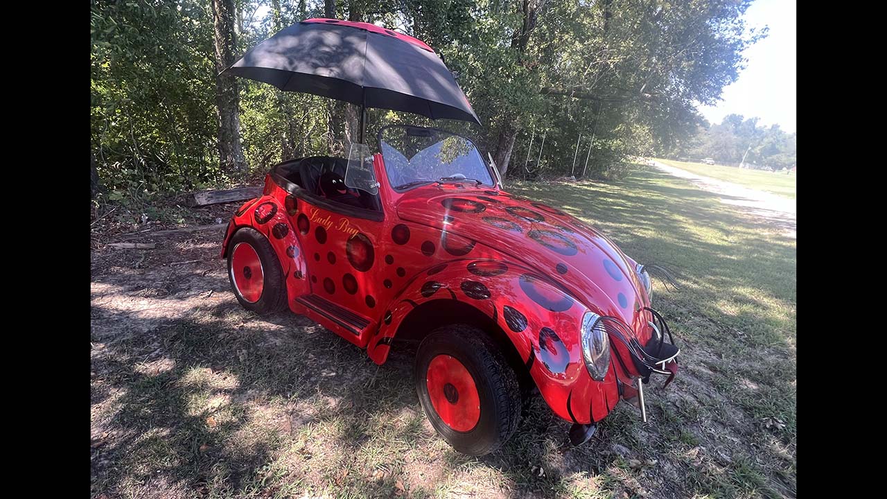 0th Image of a 1964 VOLKSWAGEN BEETLE