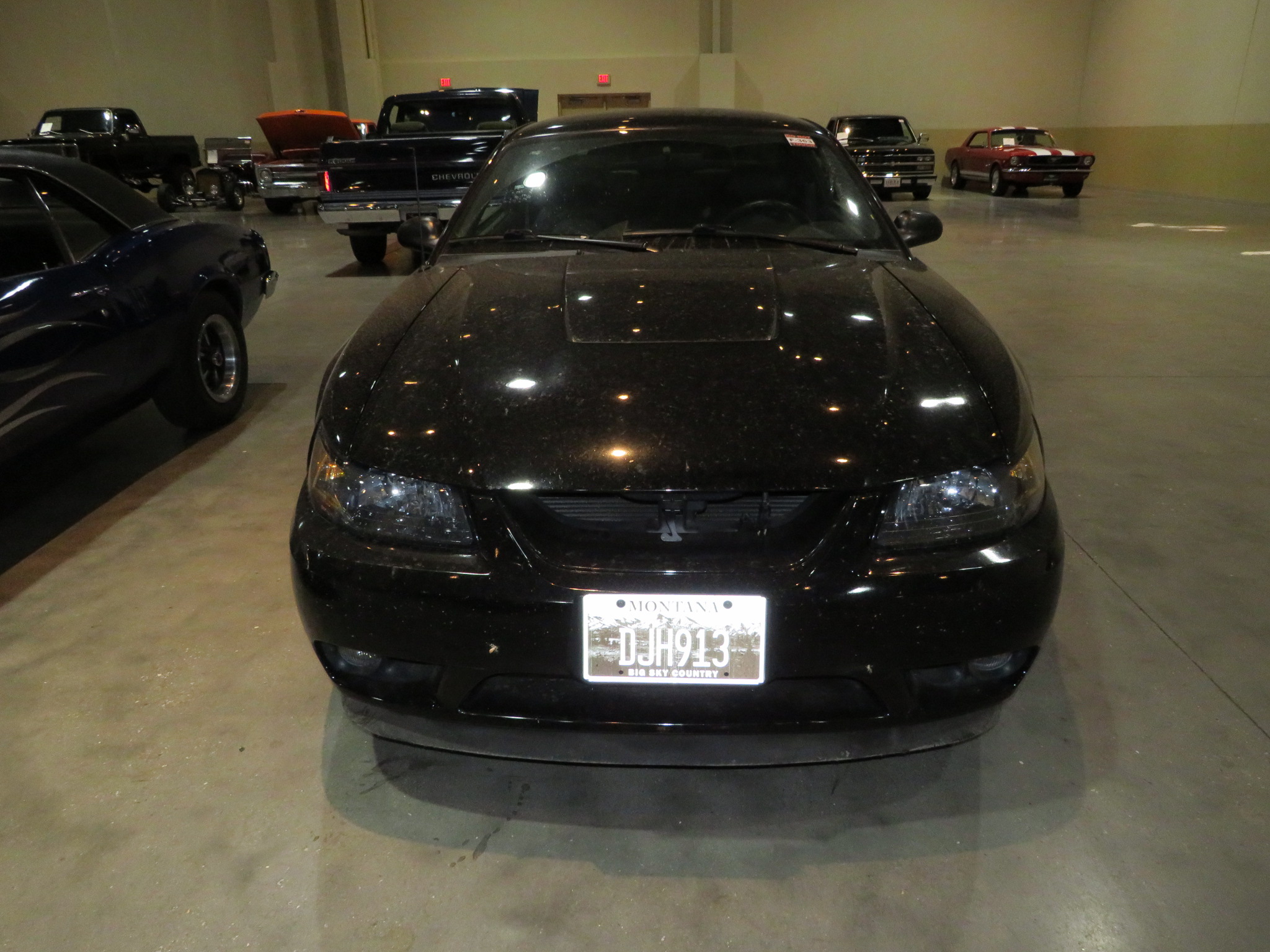 3rd Image of a 2001 FORD MUSTANG COBRA