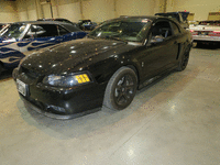 Image 1 of 13 of a 2001 FORD MUSTANG COBRA