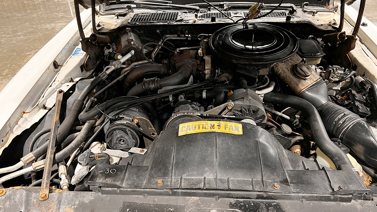 20th Image of a 1981 PONTIAC FIREBIRD