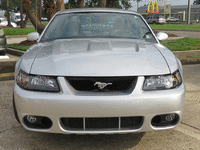 Image 5 of 15 of a 2003 FORD MUSTANG COBRA SVT