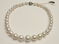 Image 2 of 7 of a N/A SOUTH SEA PEARL