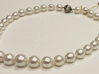 Image 6 of 7 of a N/A SOUTH SEA PEARL