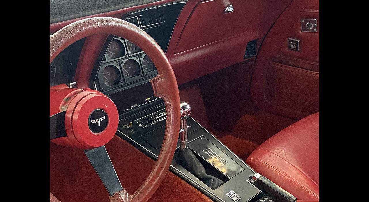 10th Image of a 1981 CHEVROLET CORVETTE