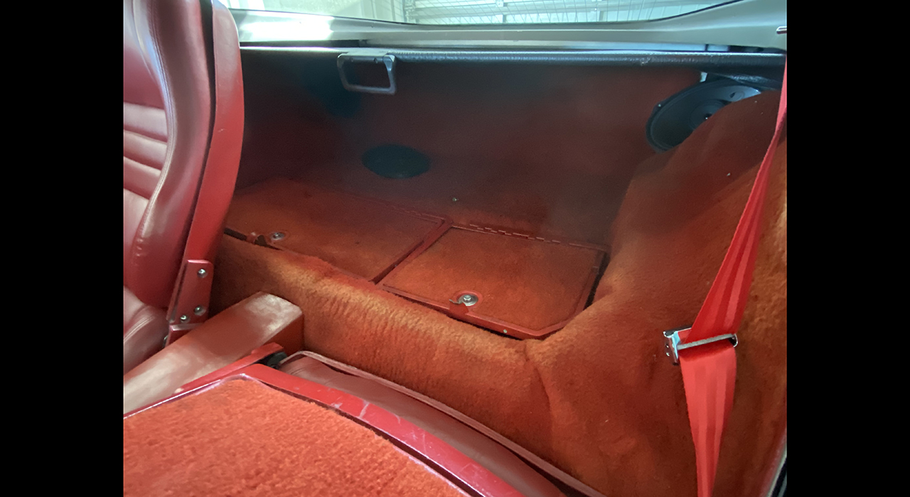 14th Image of a 1981 CHEVROLET CORVETTE