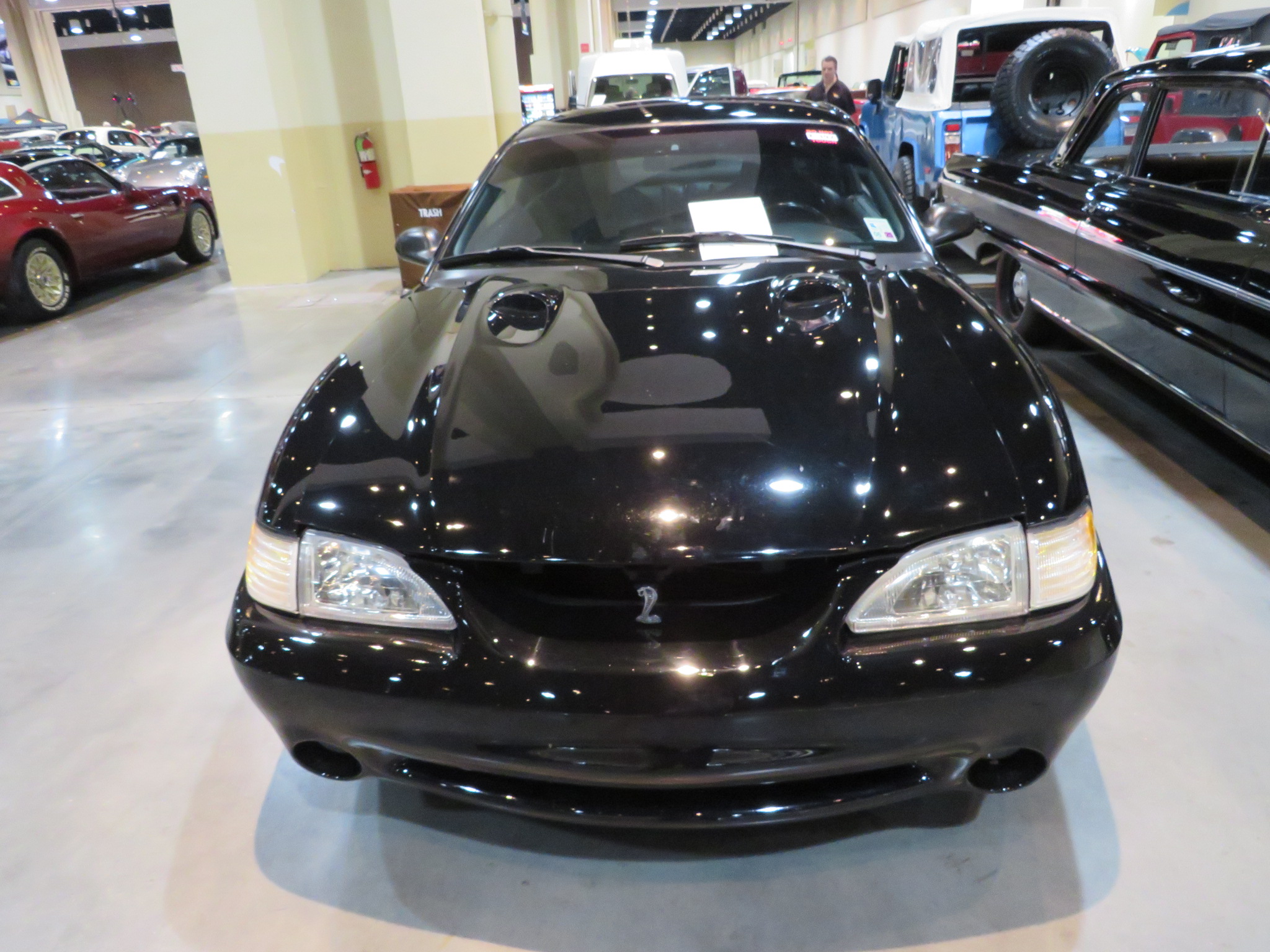 3rd Image of a 1997 FORD MUSTANG COBRA