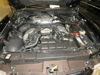 Image 15 of 16 of a 1997 FORD MUSTANG COBRA